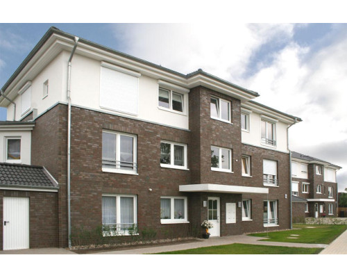 Клинкерный кирпич Roben ACCUM Сине-коричневый (blau-braun) NF 240x115x71 мм