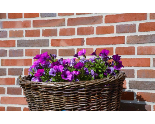 Клинкерный кирпич ручной формовки Bunt Premium NF 240x115x71 мм